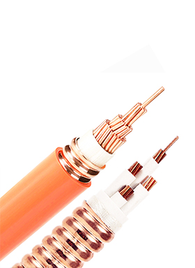 礦物質電纜/Mineral Power Cable